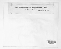 Image Associated With the Occurence
